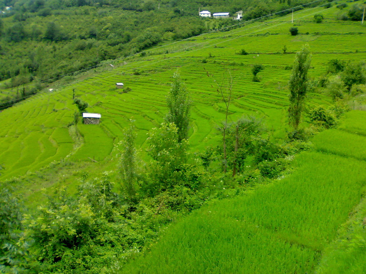 روستاهای رودسر