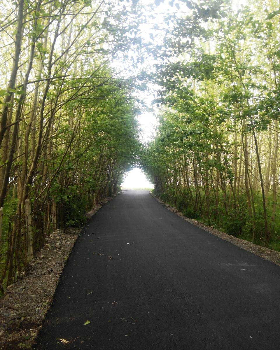 روستاهای بندرانزلی