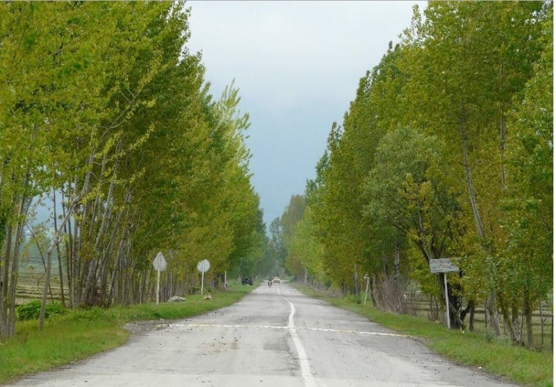 بندرگز