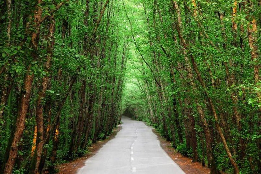 روستاهای تالش 