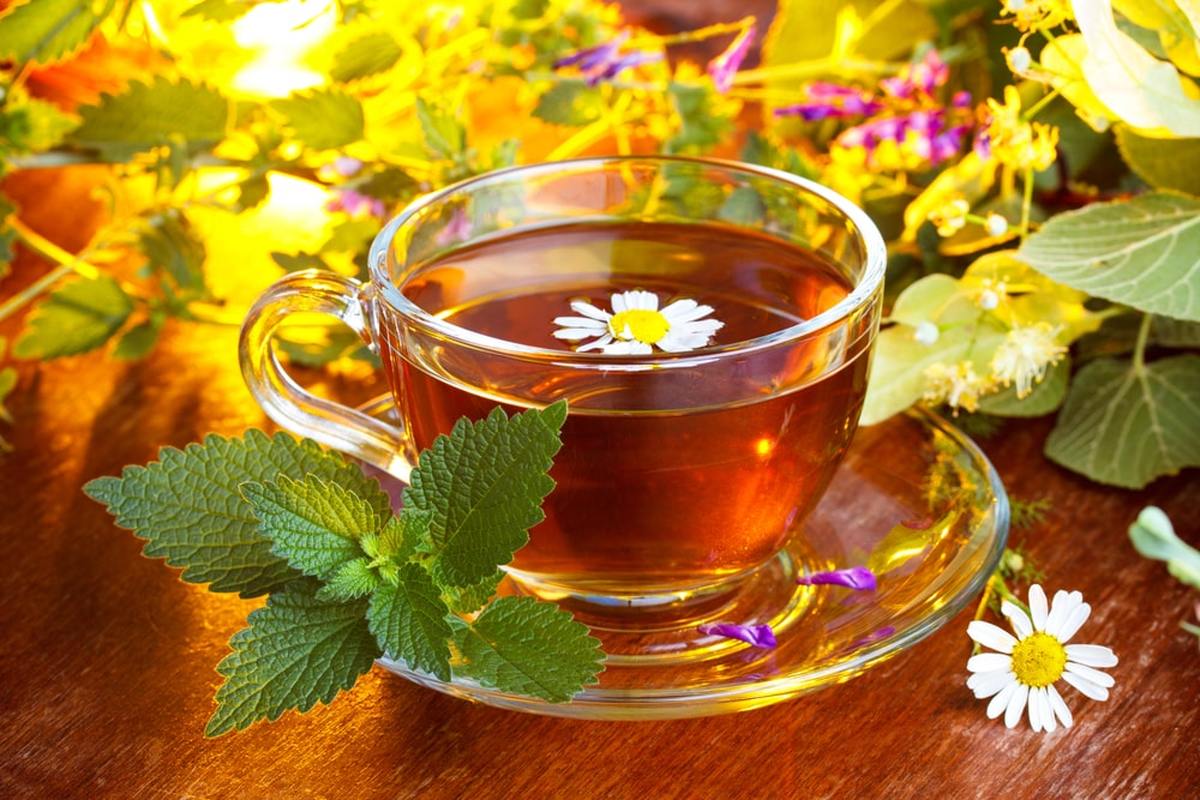 طرز تهیه انواع چای