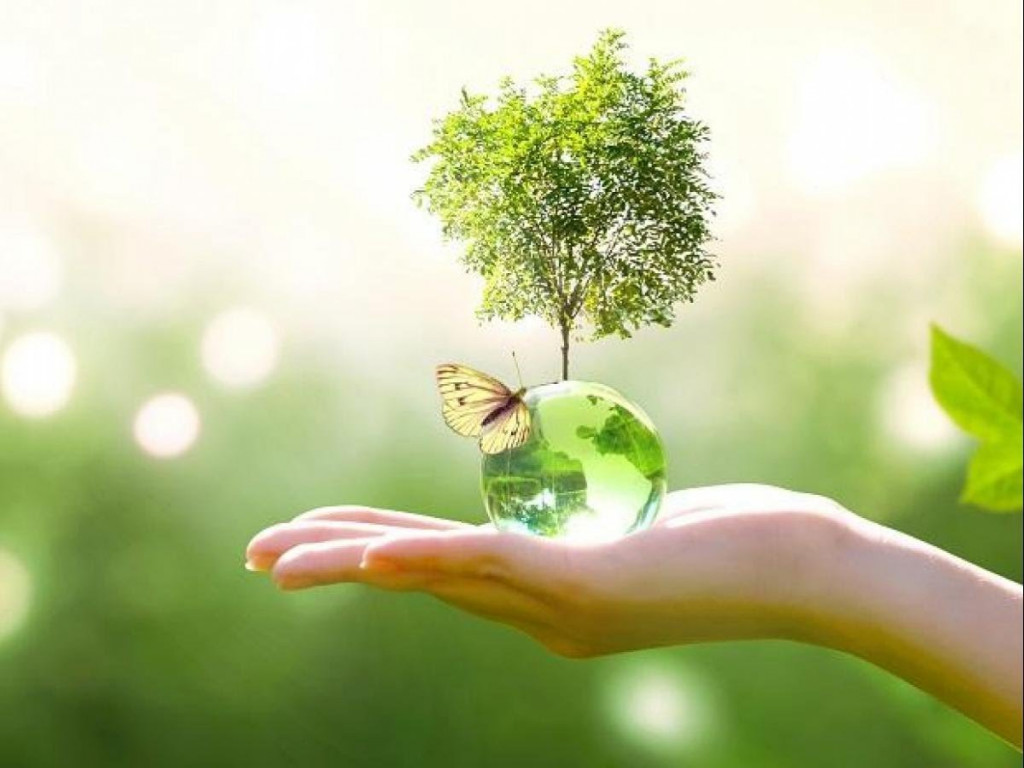 روز جهانی محیط زیست
