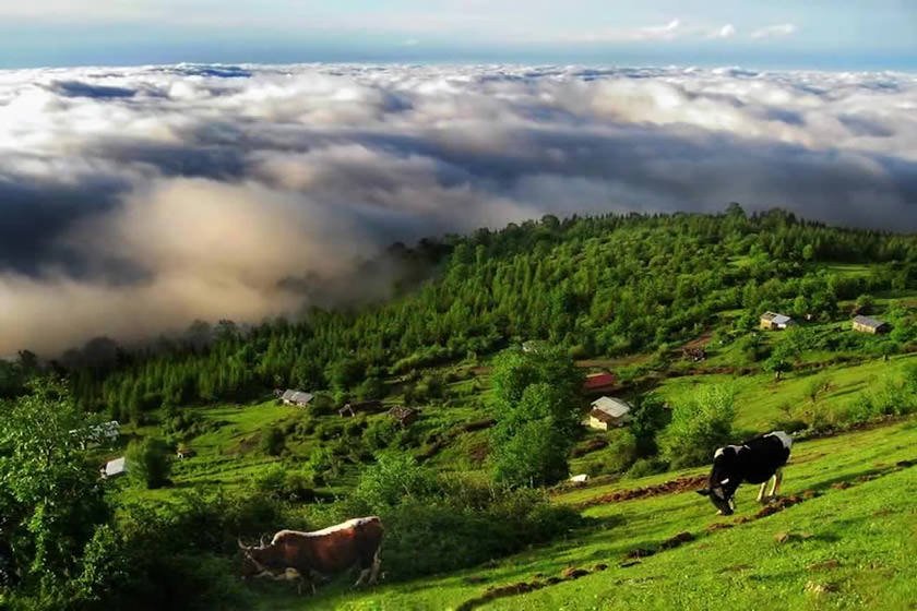 روستاهای تالش