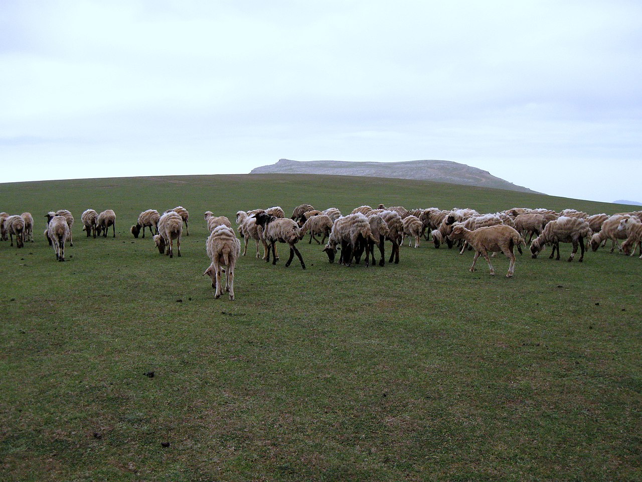 روستاهای تالش