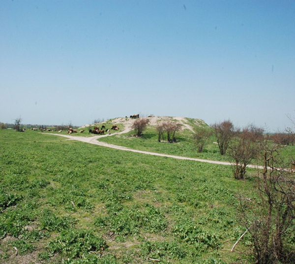 روستاهای کردکوی