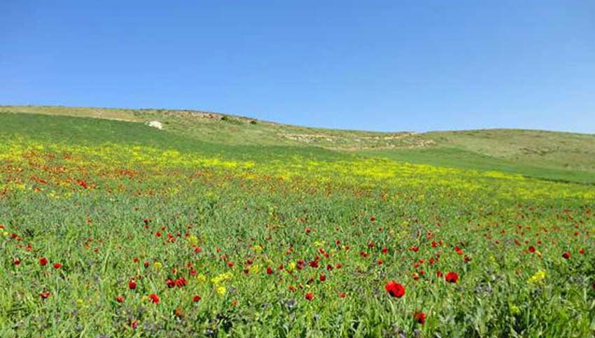 جاهای دیدنی سرعین
