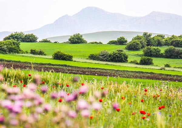 روستاهای نمین ( معرفی 95 روستای نمین ) - سیری در ایران