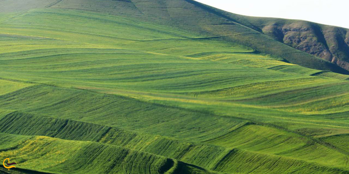 روستاهای پارس آباد