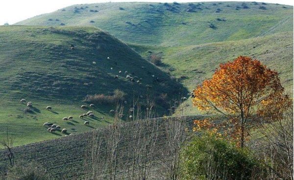 روستاهای پارس آباد