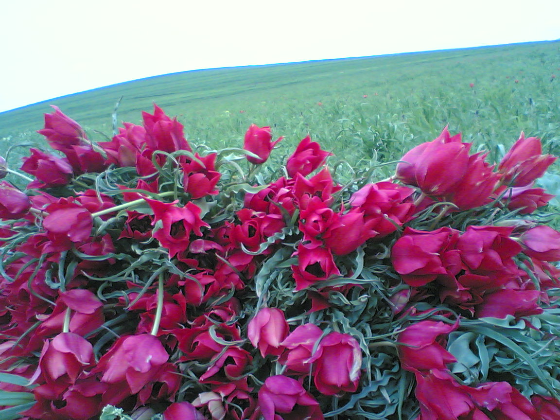 روستاهای گرمی