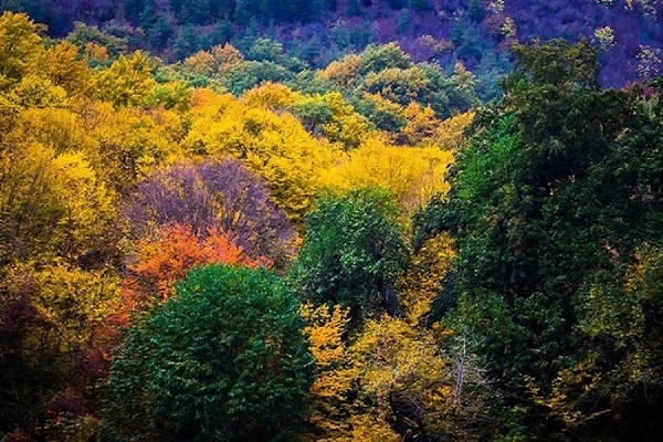 روستاهای گرگان