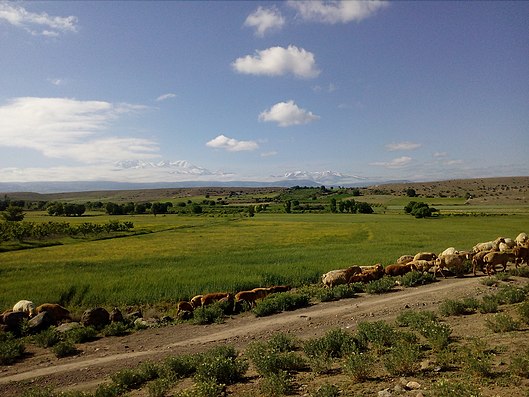 روستاهای مشگین شهر