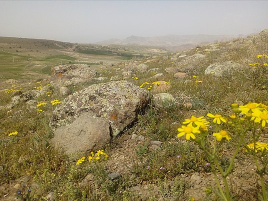 روستاهای مشگین شهر