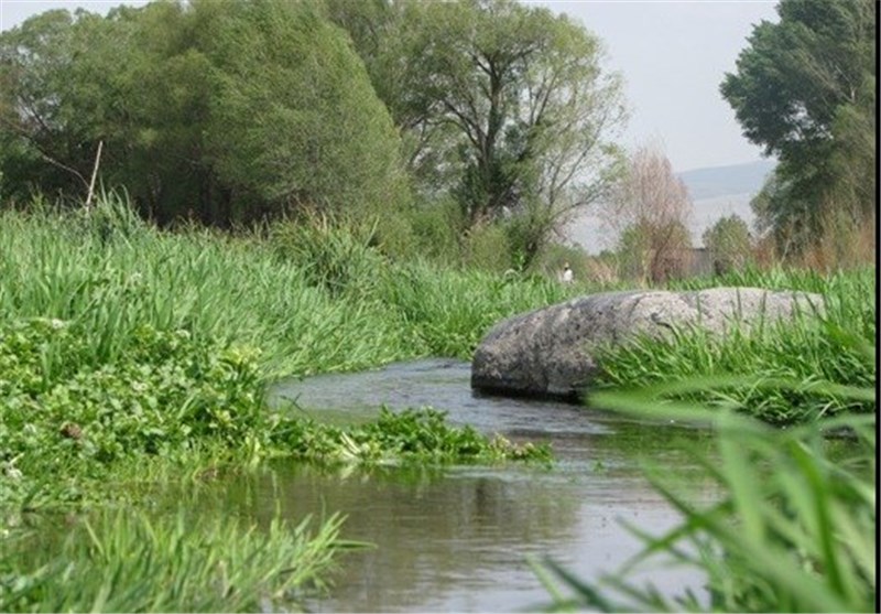روستاهای نیر