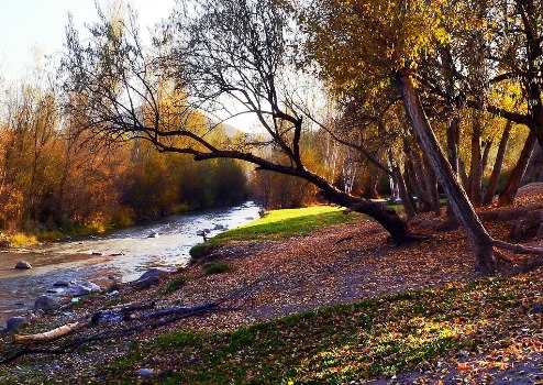 روستاهای کوثر 