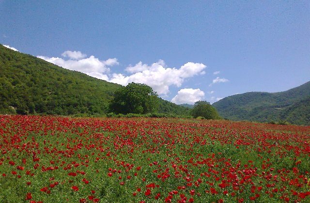 روستاهای گالیکش