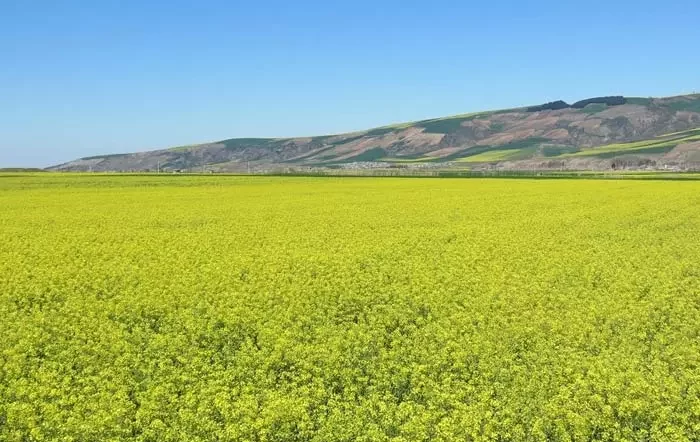 روستاهای گالیکش
