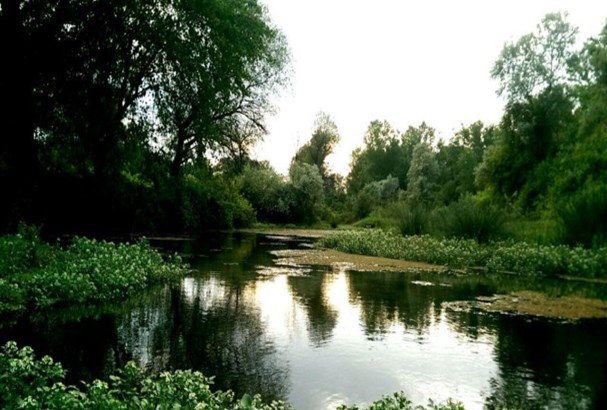 روستاهای پارس آباد