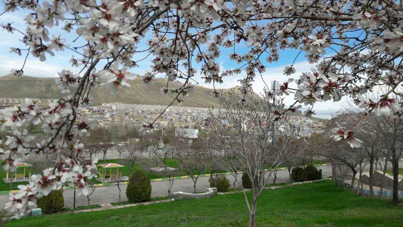 روستاهای بیجار