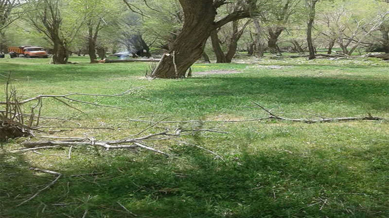 روستاهای بیجار