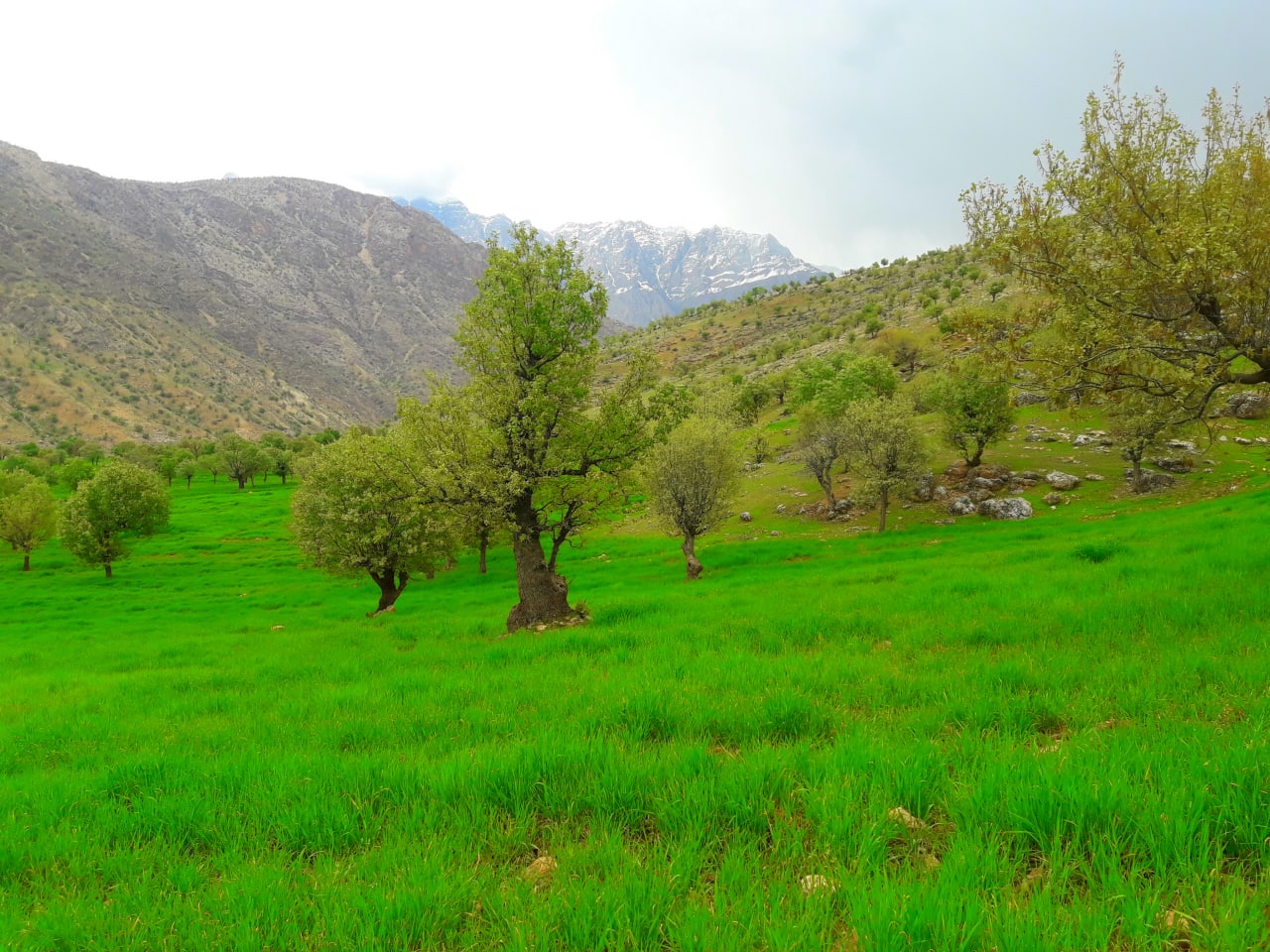 روستاهای خانمیرزا