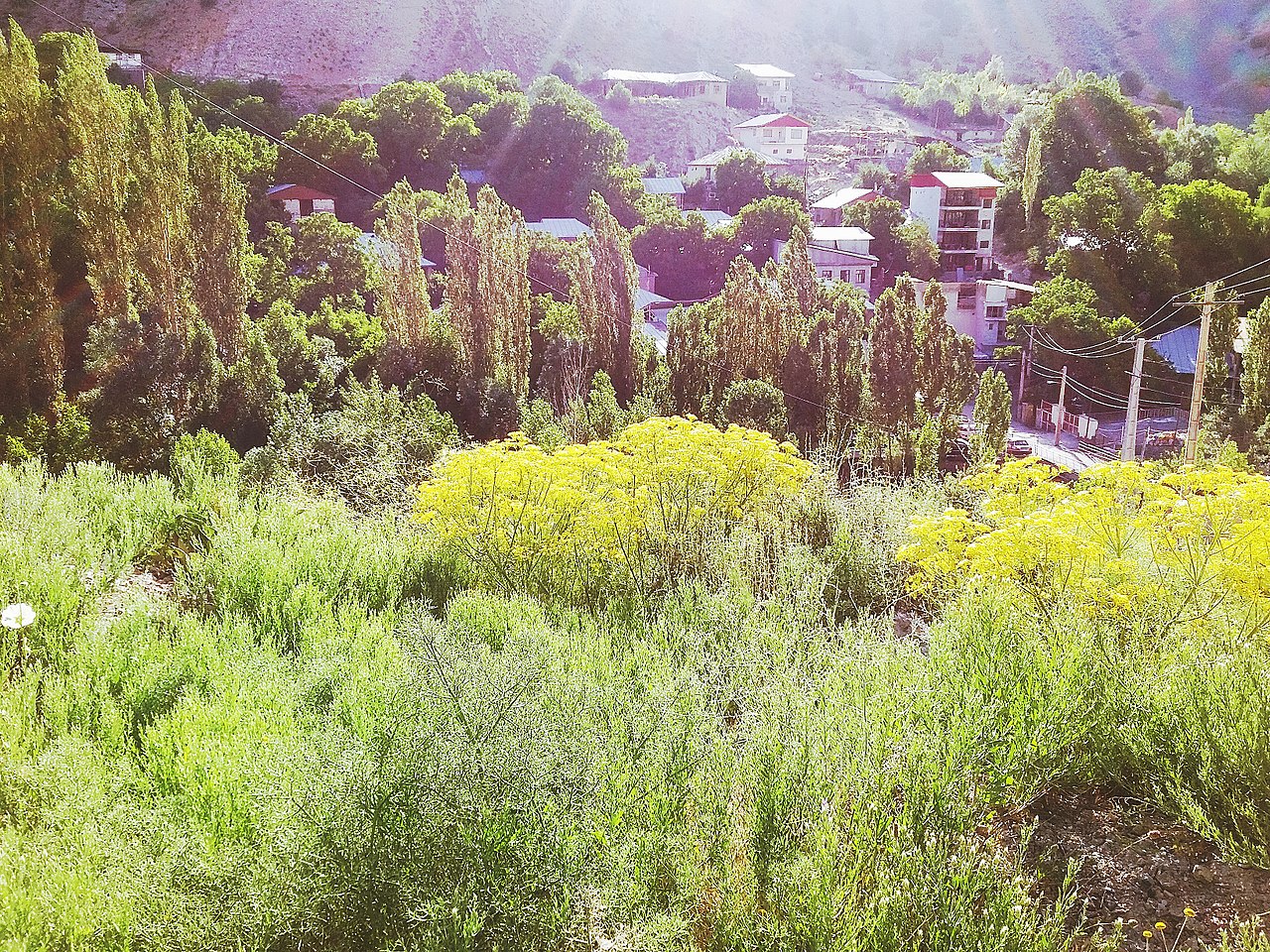 روستاهای سرک