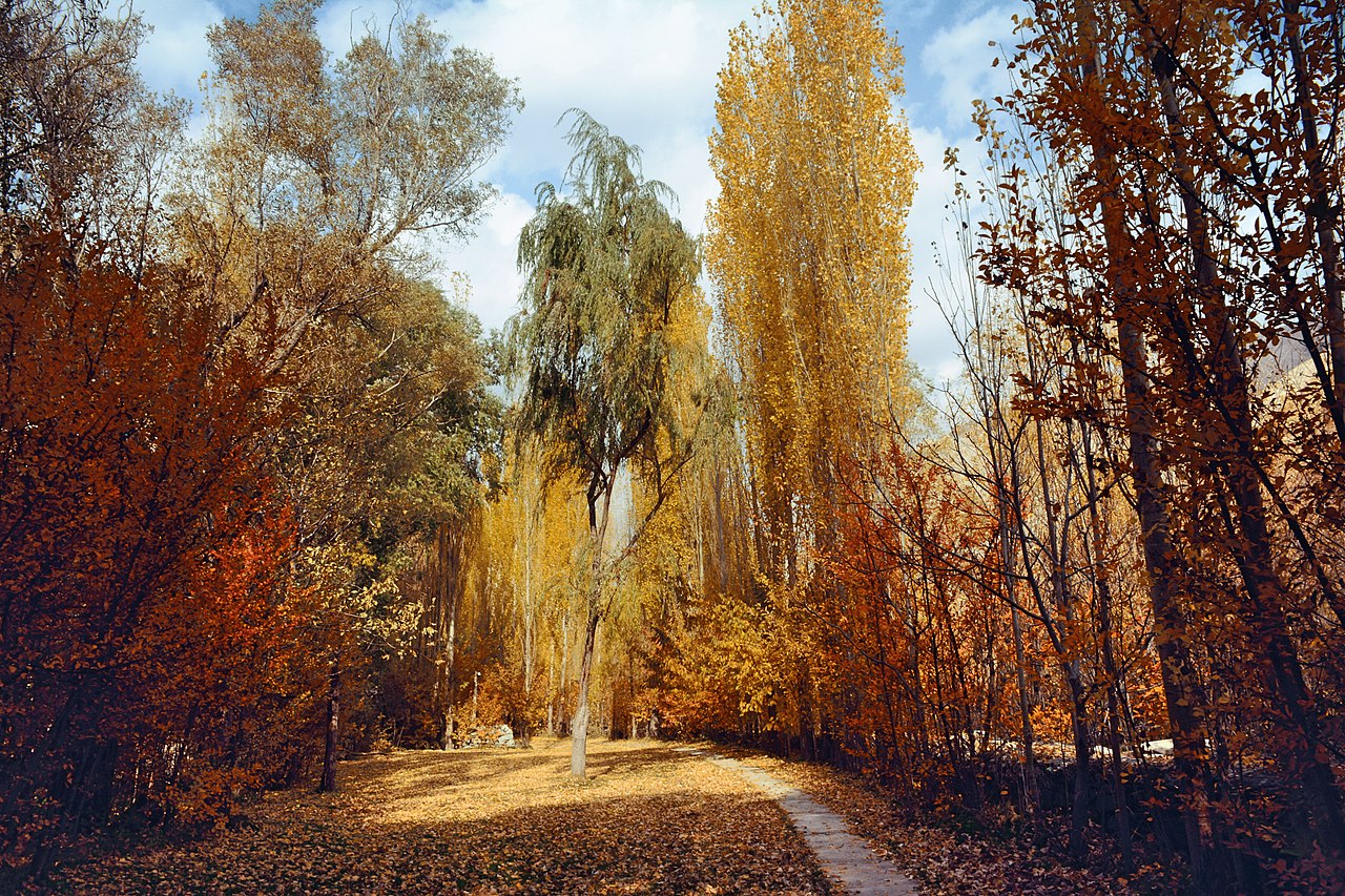 روستاهای سرک