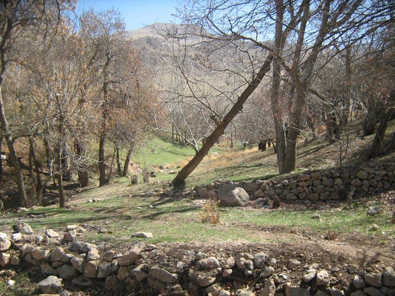 روستاهای فارسان