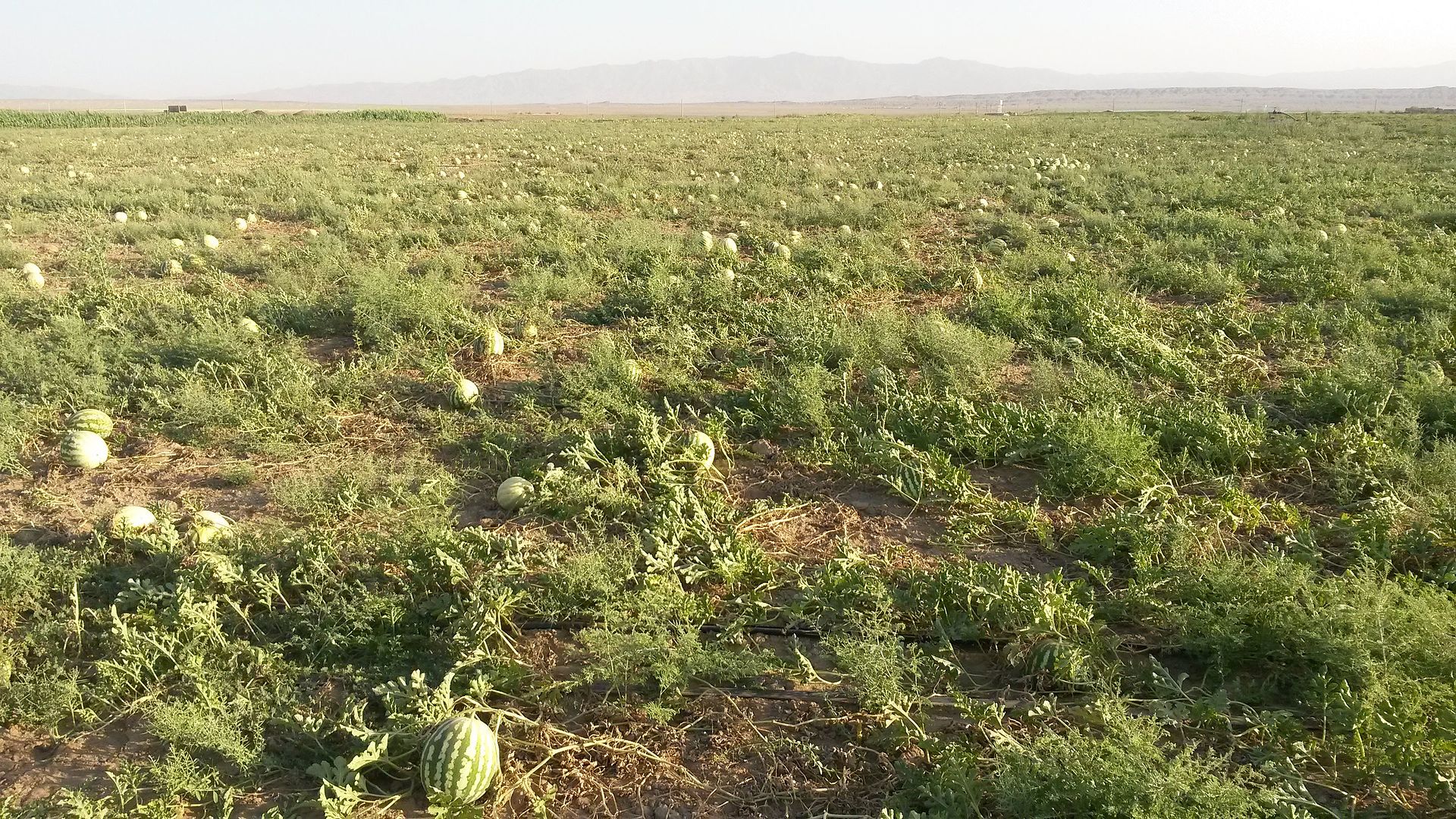 روستاهای نظرآباد