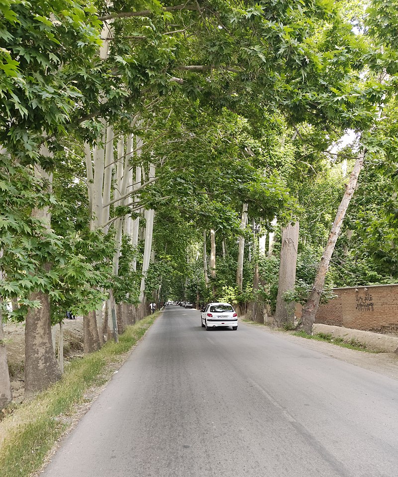 روستاهای چهارباغ