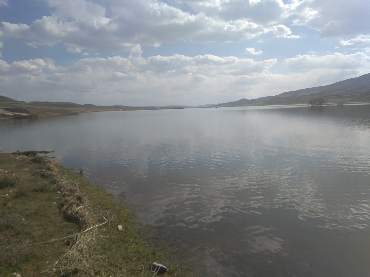 روستاهای بیجار