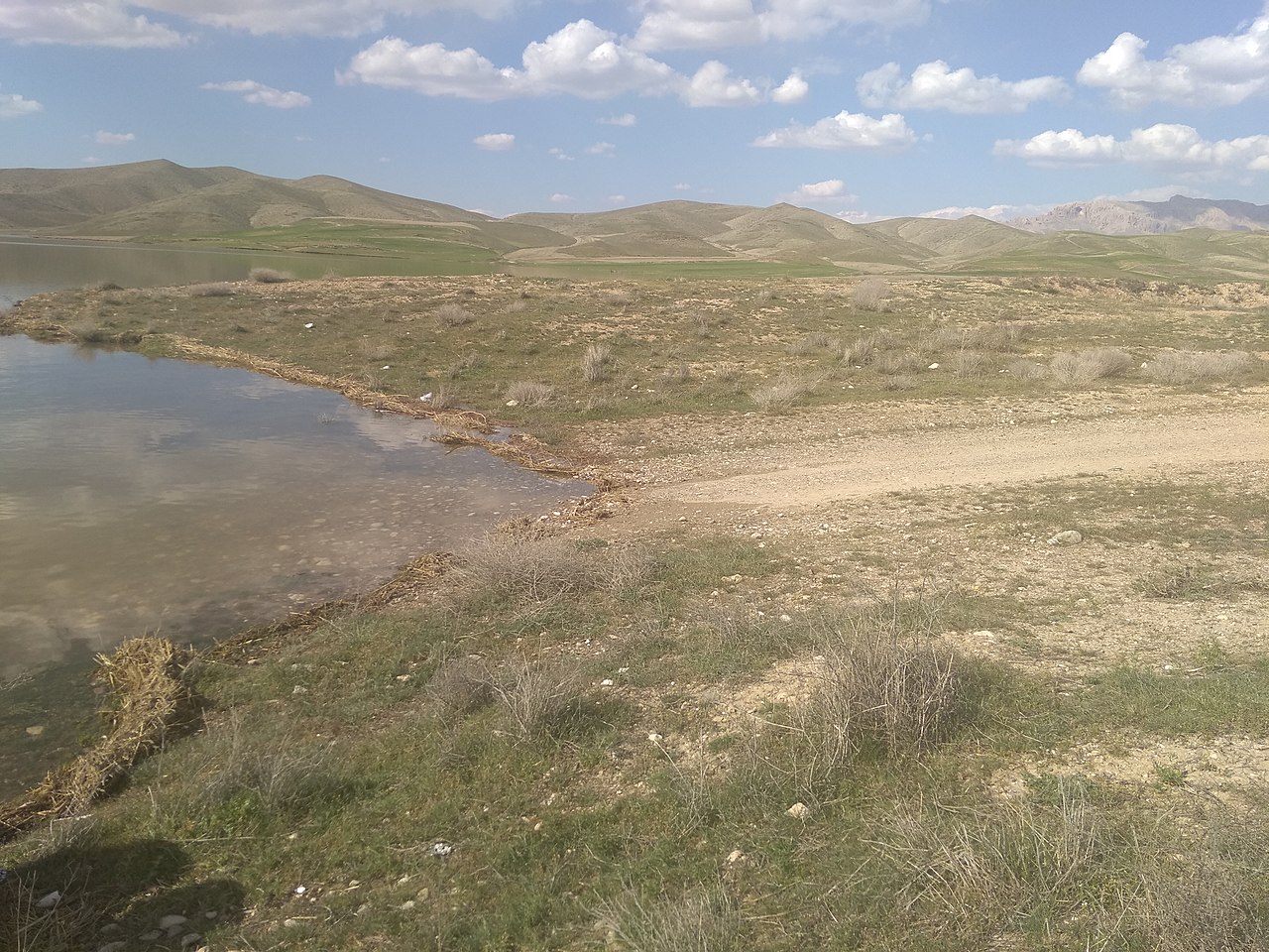 روستاهای بیجار