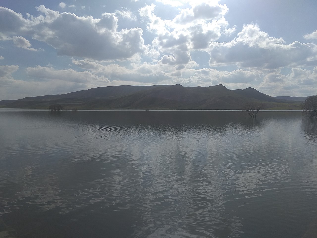 روستاهای بیجار
