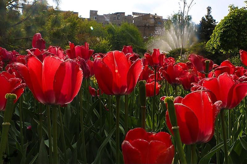 روستاهای کرج