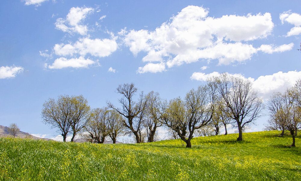 روستاهای کیار