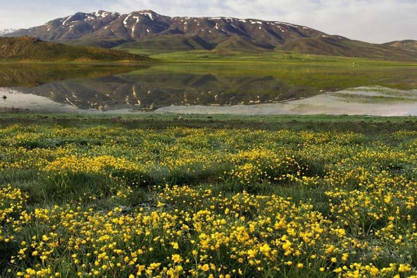 روستاهای اردل