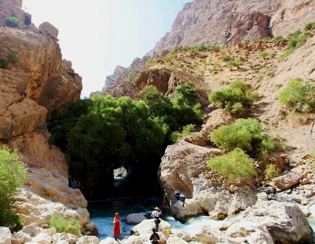 آب ملخ
