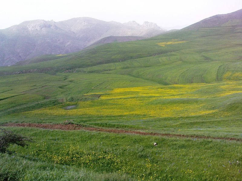 روستاهای اهر