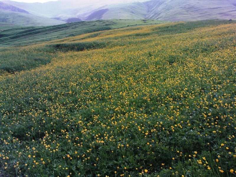 روستاهای اهر