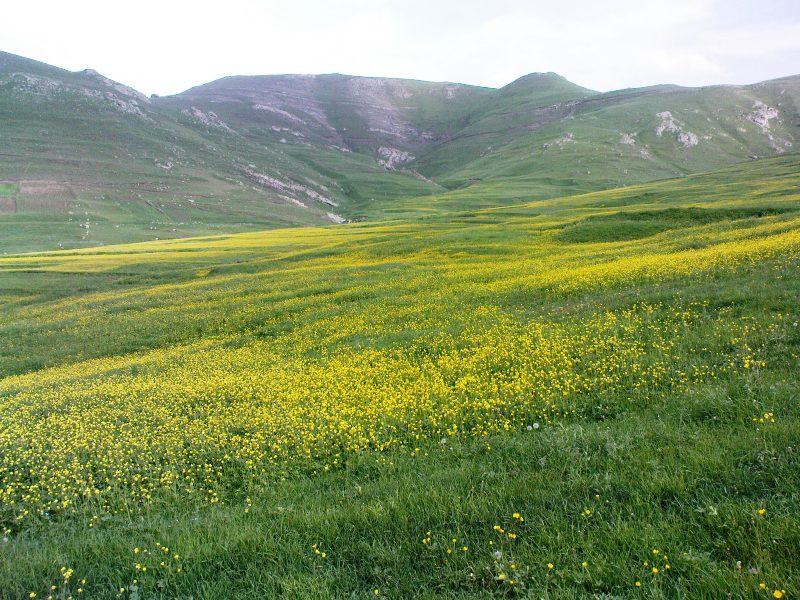 روستاهای اهر
