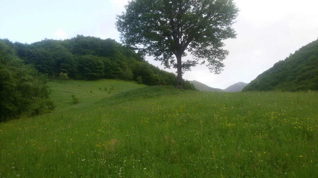 روستاهای جلفا