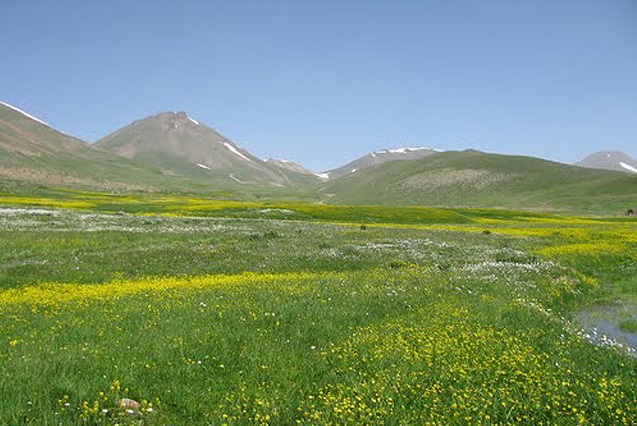روستاهای چاراویماق