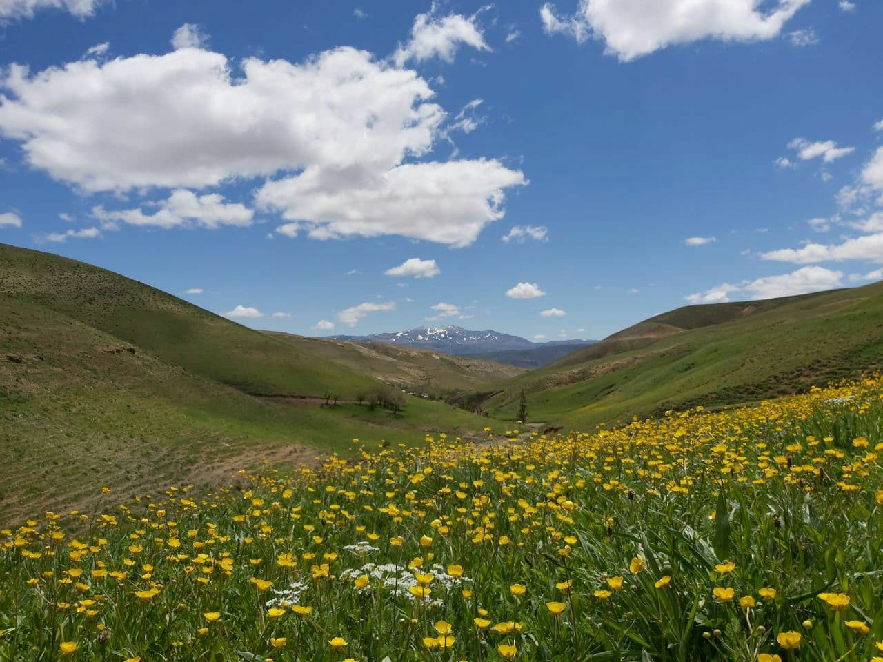 روستاهای چاراویماق
