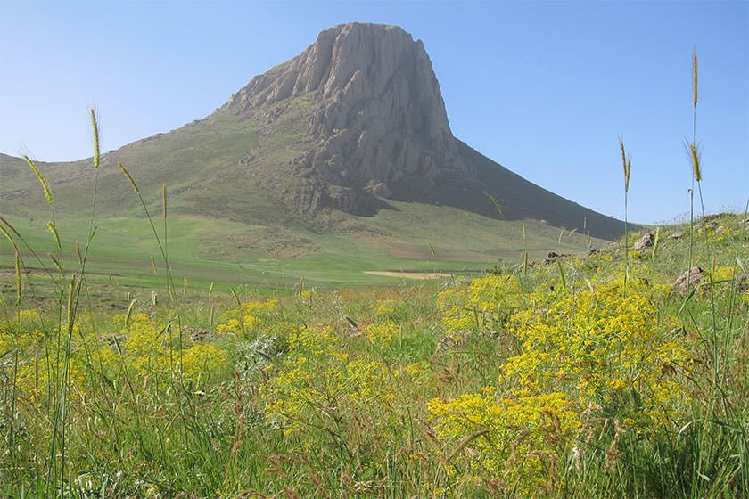 کوه طرغه