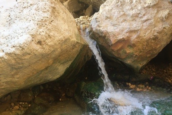 چشمه آبگرم گنوی