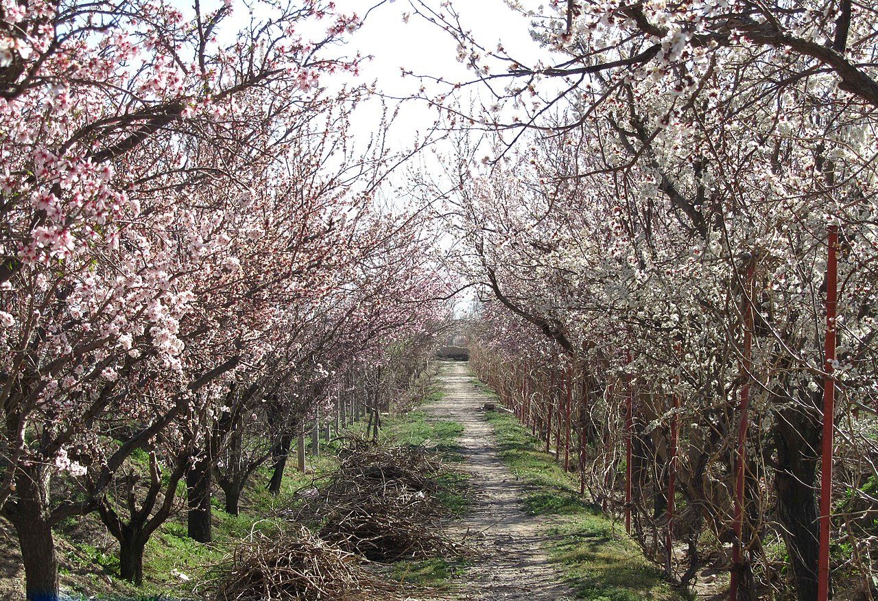 روستاهای ملکان