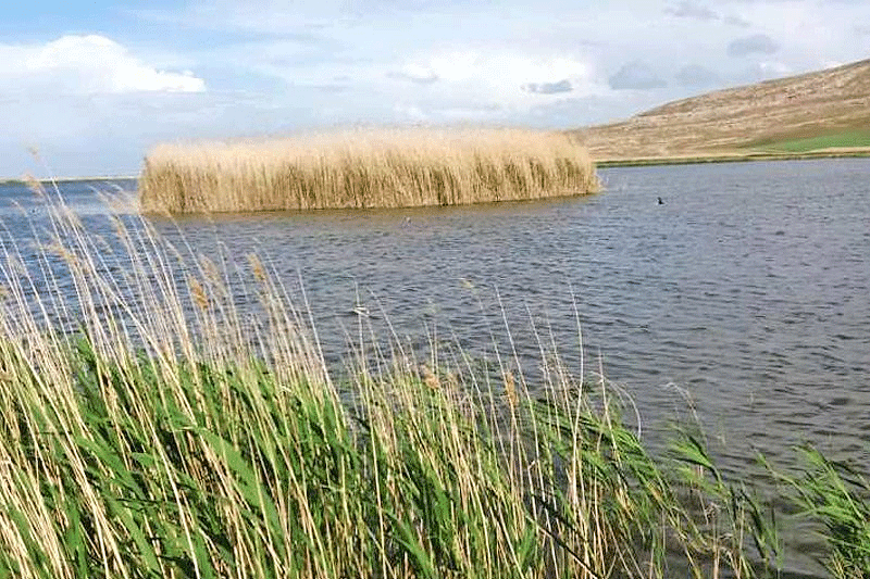 آذربایجان غربی