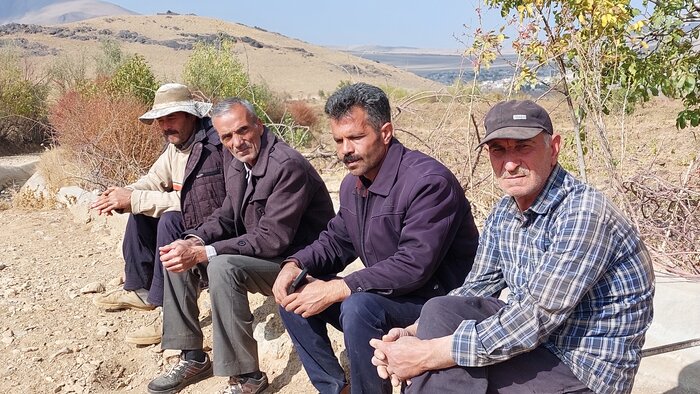 خاک کردن موی باغ