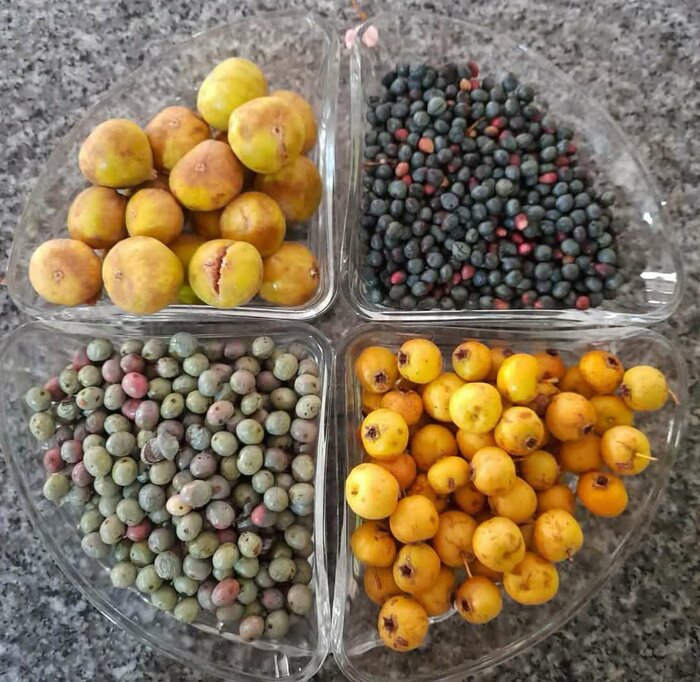 روستای مارین
