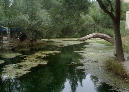 چشمه درگزین